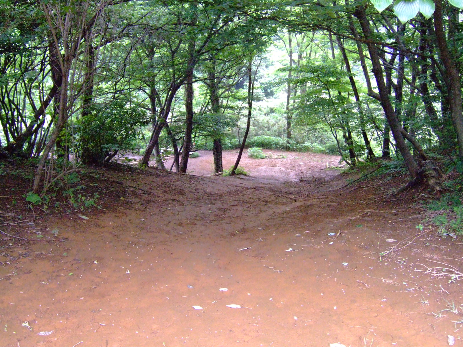 DSCF1307.JPG